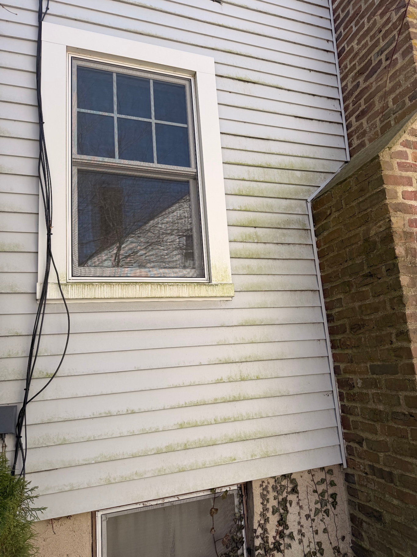 Siding soft wash transformation — before