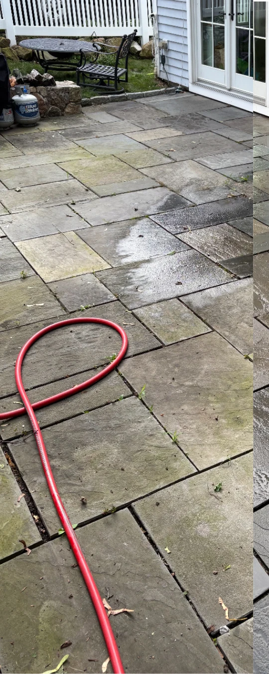 Before: a bluestone patio behind a set of French doors